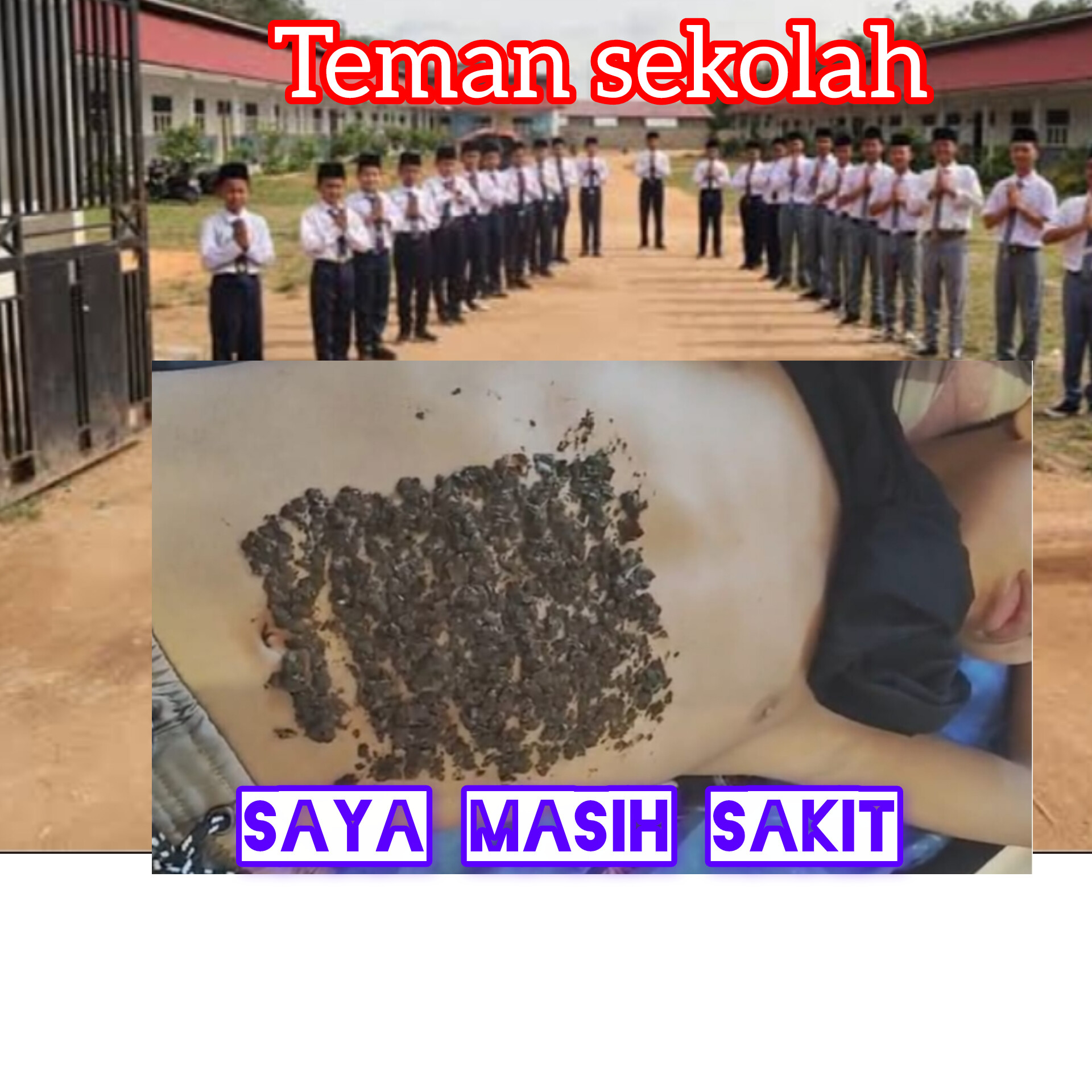 InShot 20260417 060957330