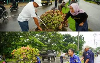 wabup tebo pimpin gotong royong bersama opd di rumah dinas bupati 7 1780215818646
