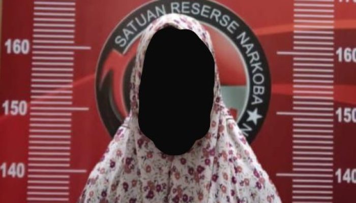 Ungkap Kasus Narkoba Jenis Sabu 37 Gram, Satresnarkoba Polres Banyuasin Amankan Seorang IRT