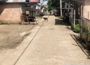 Masyarakat Pagar Puding Lamo Meminta Inspektur Tebo Bersama Polres Tebo Proses Laporan Masyarakat Yang Telah Disampaikan 