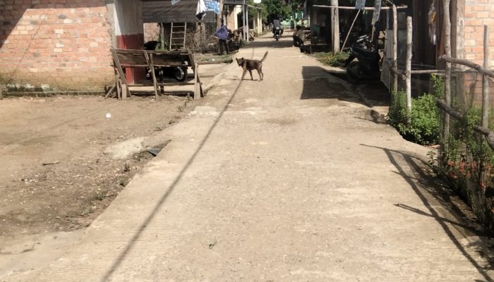 Masyarakat Pagar Puding Lamo Meminta Inspektur Tebo Bersama Polres Tebo Proses Laporan Masyarakat Yang Telah Disampaikan 