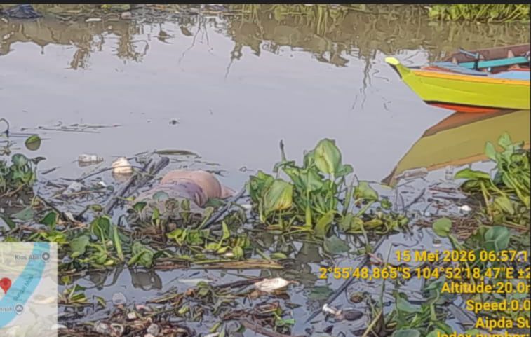IMG 20260515 WA0006