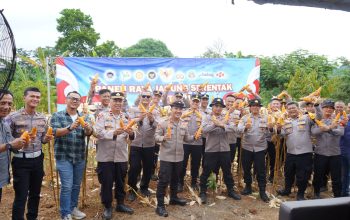 Panen Raya Serentak di Purwakarta, Polres Purwakarta Polda Jabar Perkuat Komitmen Ketahanan Pangan Nasional