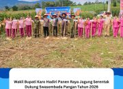 Wakil Bupati Karo Hadiri Panen Raya Jagung Serentak Dukung Swasembada Pangan Tahun 2026