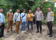 Lakukan Pengembangan, Satresnarkoba Polresta Deli Serdang bersama Polsek Tanjung Morawa kembali temukan batang ganja dan lakukan pemusnahan di Kecamatan Tanjung Morawa