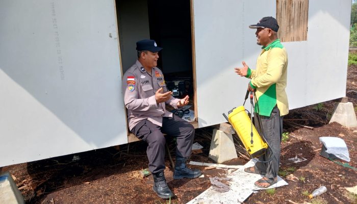 Dukung Swasembada Pangan Presiden RI, Polsek Bengkalis Intensifkan Perawatan Lahan Jagung Pipil di Desa Ketam Putih Kec.Bengkalis 