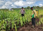 IMG 20260522 WA0011 1