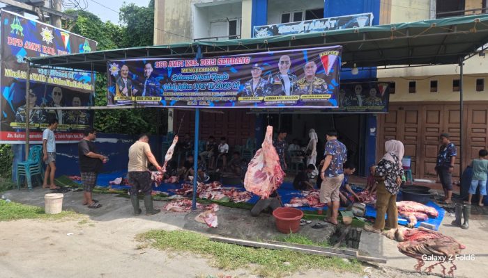 DPD AMPI Deli Serdang Berbagi Hewan Qurban Sebanyak 4 Ekor Kepada Masyarakat Dan Abang Becak Yang Ada Di Lubuk Pakam Dalam Rangka Hari Raya Idul Adha 1447H