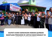 Bupati Karo Serahkan Hewan Qurban Bantuan Presiden RI Untuk Masyarakat Di Masjid AL Munawarah