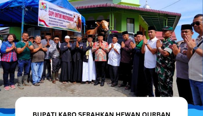 Bupati Karo Serahkan Hewan Qurban Bantuan Presiden RI Untuk Masyarakat Di Masjid AL Munawarah