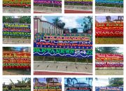 InCollage 20260511 191424354