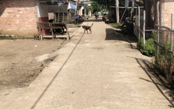 Inspektorat Tebo Kapan Audit Renovasi Jalan Rabat Beton Pagar puding lamo Yang Telah Hancur Tahun 2025
