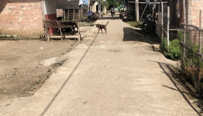 Inspektorat Tebo Kapan Audit Renovasi Jalan Rabat Beton Pagar puding lamo Yang Telah Hancur Tahun 2025