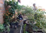 IMG 20260603 WA0031