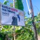 Diduga Mandek di Tangan Kasun! Dana SPPT PBB-P2 Dipertanyakan, Warga Sukodono Donorojo Pacitan Bentangkan Ratusan Banner Protes