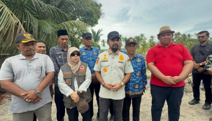 Pasca Banjir Dan Longsor,Bupati Al-Farlaky Tinjau Irigasi Di Arakundo