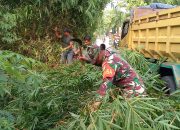 babinsa desa panongan bersama pemdes dan warga laksanakan kerja bakti pembersihan lingkungan 2 IMG 20260613 WA0022