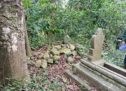 Potensi Cagar Budaya Baru Tegal: Struktur Batu Kuno “Candi Trowulan” di Danawarih Menanti Penelitian Ahli