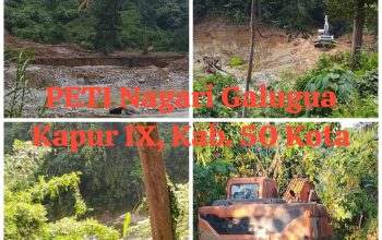 peti kebal hukum, tambang emas ilegal di kab.50 kota beroperasi terang-terangan 3 IMG 20260618 WA0095