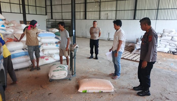 Dari Ladang ke Pabrik Langkah Tegas Sat Reskrim Polres Kuningan Jaga Asa Petani