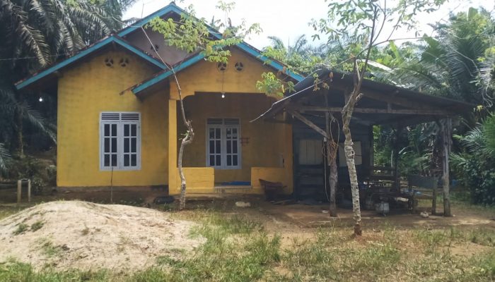 Ayah Kandung di Desa sumber sari kec.rimbo ulu Dilaporkan dalam Dugaan Kasus Pencabulan Anak,ke POlRES TEBO