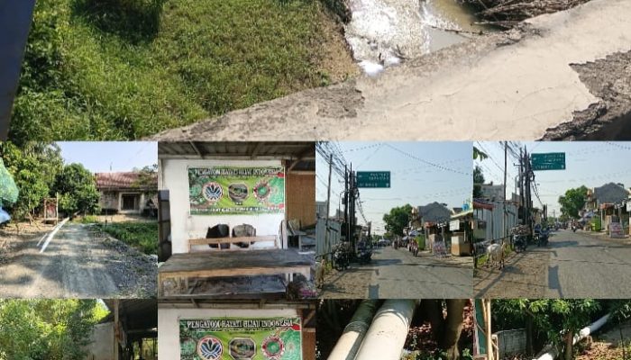 BREAKING NEWS: Bravo Mawar Hijau Pecahkan Rekor! Pompa Tanpa BBM Airi 500 Ha Sawah Tegal, Dukung Penuh Program Prabowo