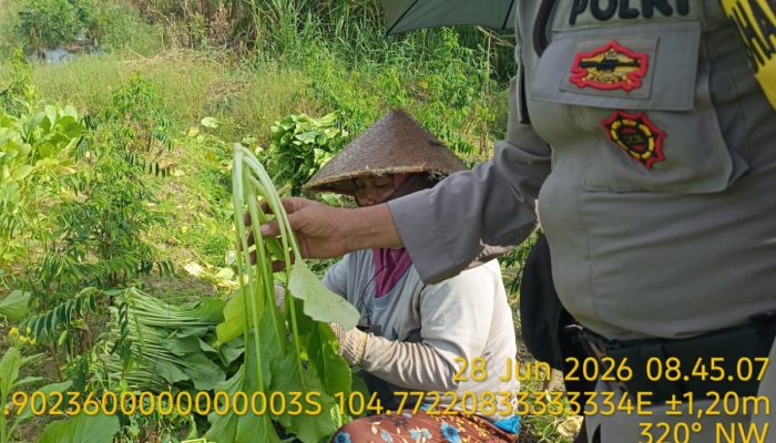 Bhabinkamtibmas Polsek Talang Kelapa Perkuat Edukasi Pemanfaatan Pekarangan untuk Ketahanan Pangan Keluarga