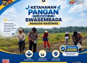 polsek kandis tancap gas! tanam jagung 12 hektare, perkuat ketahanan pangan nasional" 11 IMG 20260630 WA0002