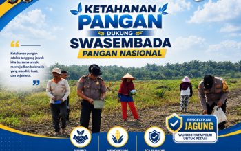 polsek kandis tancap gas! tanam jagung 12 hektare, perkuat ketahanan pangan nasional" 5 IMG 20260630 WA0002