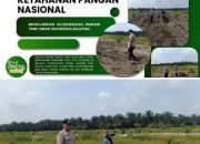 15 Hektare Siap Tanam! Polsek Kandis dan Kelompok Tani Bersinergi Wujudkan Ketahanan Pangan