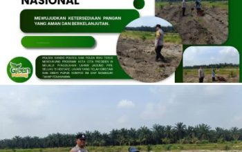 15 Hektare Siap Tanam! Polsek Kandis dan Kelompok Tani Bersinergi Wujudkan Ketahanan Pangan