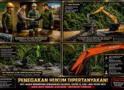 penegakan hukum dipertanyakan, surga mafia tambang di kab.50 kota: aktivitas peti masih mengepung kapur ix, alam rusak 10 623654