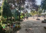 IMG 20260701 WA0028