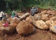 DUGAAN PENAMBANGAN BATU MEGALITIKUM DI SITUS GOA LAWA DESA BATU AGUNG BALAPULANG TEGAL PICU PENDANGKALAN,EROSI & BANJIR! BRAVO MAWAR HIJAU DESAK PEMKAB SEGERA SIDAK