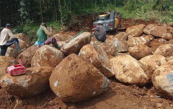DUGAAN PENAMBANGAN BATU MEGALITIKUM DI SITUS GOA LAWA DESA BATU AGUNG BALAPULANG TEGAL PICU PENDANGKALAN,EROSI & BANJIR! BRAVO MAWAR HIJAU DESAK PEMKAB SEGERA SIDAK