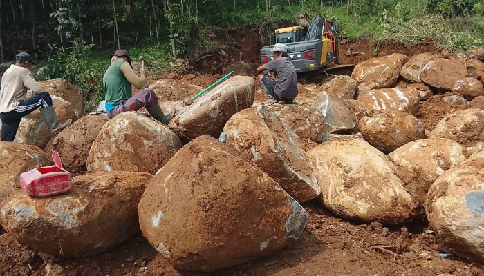 DUGAAN PENAMBANGAN BATU MEGALITIKUM DI SITUS GOA LAWA DESA BATU AGUNG BALAPULANG TEGAL PICU PENDANGKALAN,EROSI & BANJIR! BRAVO MAWAR HIJAU DESAK PEMKAB SEGERA SIDAK