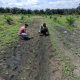 IMG 20260713 WA0016