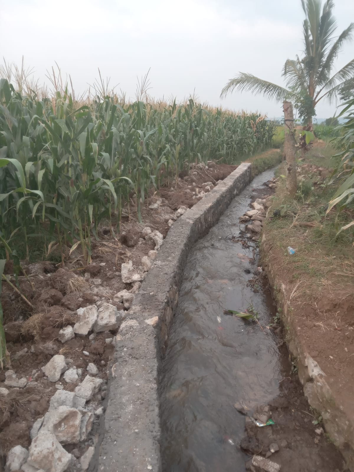 proyek p3ai rp195 juta di kroya randudongkal pemalang diduga siluman tanpa papan proyek 2 IMG 20260718 WA0035