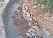 Proyek P3AI Rp195 Juta di Kroya Randudongkal Pemalang Diduga Siluman Tanpa Papan Proyek