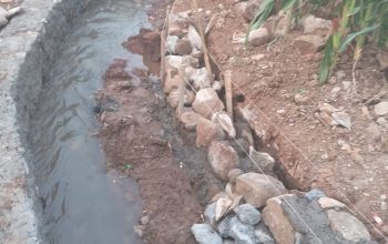 Proyek P3AI Rp195 Juta di Kroya Randudongkal Pemalang Diduga Siluman Tanpa Papan Proyek