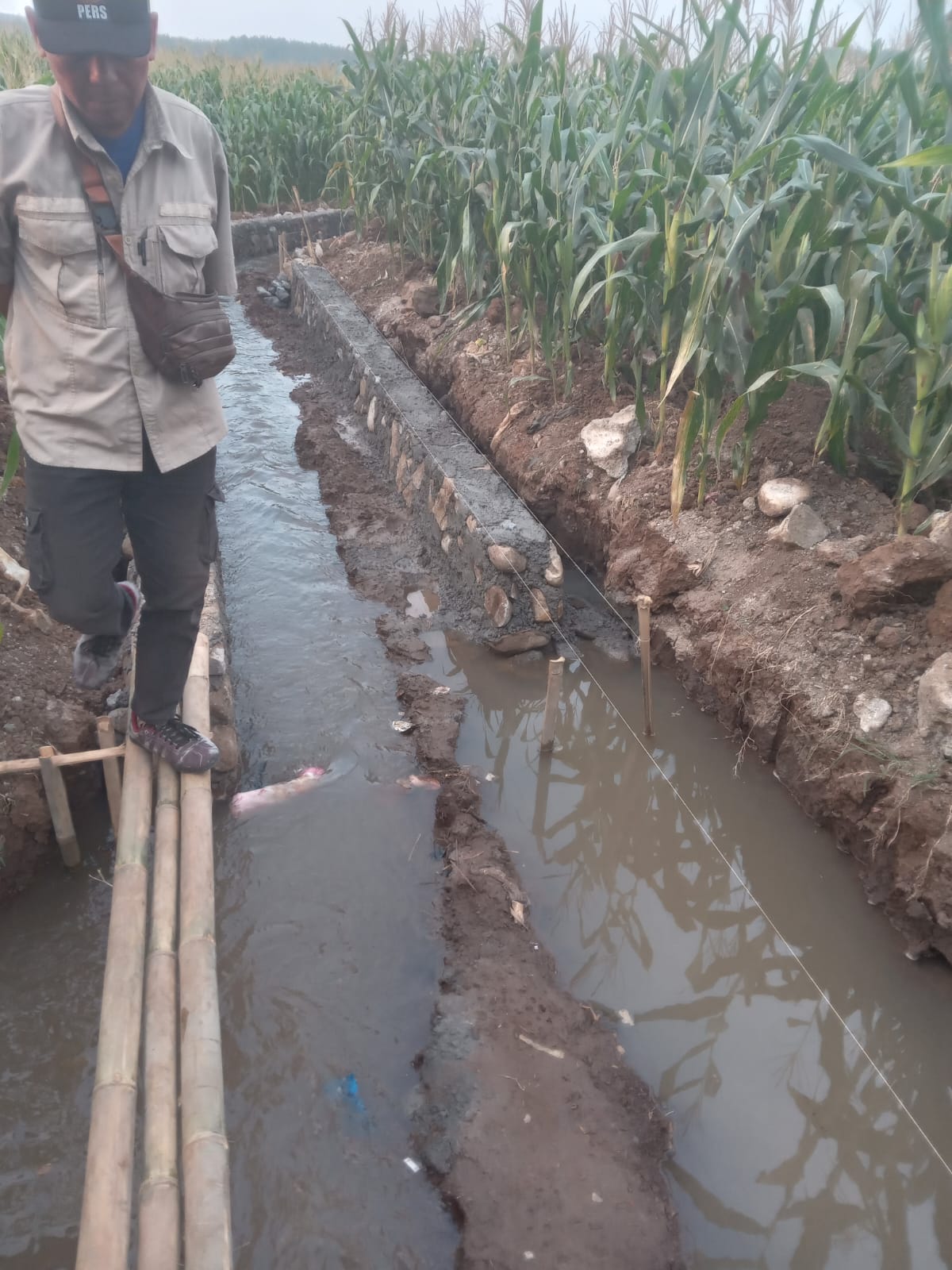 proyek p3ai rp195 juta di kroya randudongkal pemalang diduga siluman tanpa papan proyek 3 IMG 20260718 WA0037