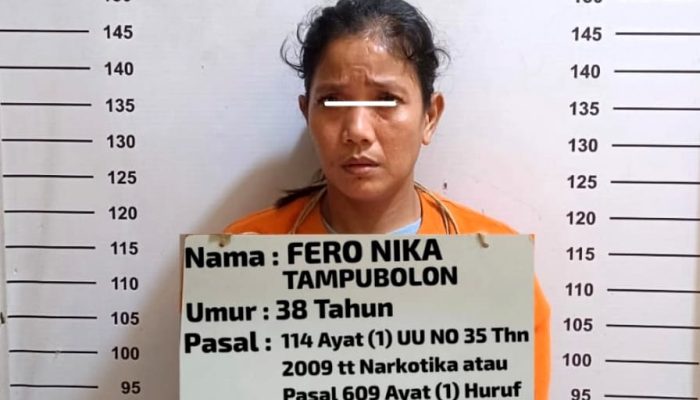 Satresnarkoba Polres Labuhanbatu Tangkap Perempuan Pengedar Sabu