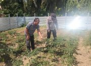 bhabinkamtibmas polsek betung dorong warga dukung program swasembada pangan melalui p2b 10 IMG 20260720 WA0003 1