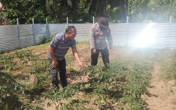 bhabinkamtibmas polsek betung dorong warga dukung program swasembada pangan melalui p2b 4 IMG 20260720 WA0003 1