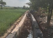 PROYEK P3AI Rp195 JUTA DI TANAHBAYA DIDUGA SILUMAN, TANPA PAPAN PROYEK DAN KETUA GAPOKTAN SULIT DITEMUI
