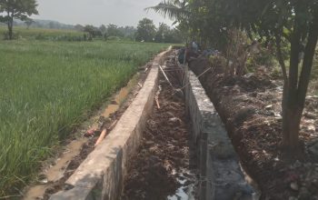 PROYEK P3AI Rp195 JUTA DI TANAHBAYA DIDUGA SILUMAN, TANPA PAPAN PROYEK DAN KETUA GAPOKTAN SULIT DITEMUI