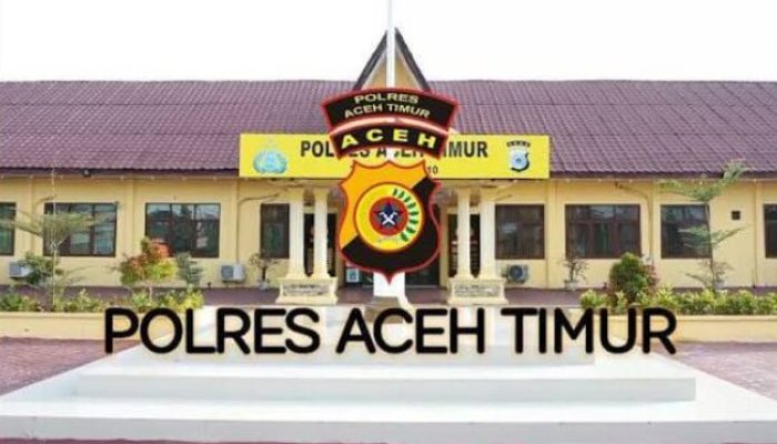 Perkembangan Penanganan Kasus Video Viral Dugaan Penganiayaan Anak di Idi Tunong, Polisi Jelaskan Alasan Belum Menahan Tersangka*