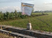Proyek P3-TGAI Desa Sodo: Kades Lemparkan ke Pendamping, Asal-Usulan dari Dewan Atau Partai Masih Gelap