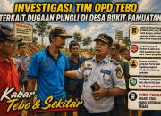 IMG 20260729 WA0005E50R6WJ