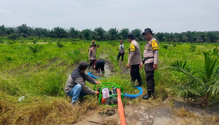 Ketahanan Pangan, Kapolsek Kandis Bersama Personel Siapkan Air untuk Kebutuhan Tanaman Jagung